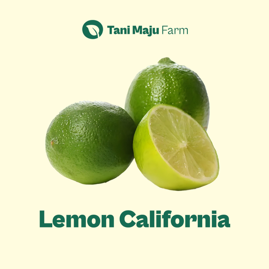 

Lemon California Hijau Fresh Organik (250 gram) - INSTANT / SAMEDAY - Buah
