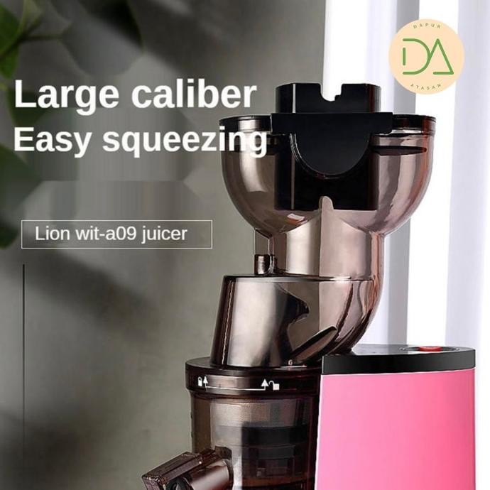 [Ready] Po Portable Slow Juicer Press