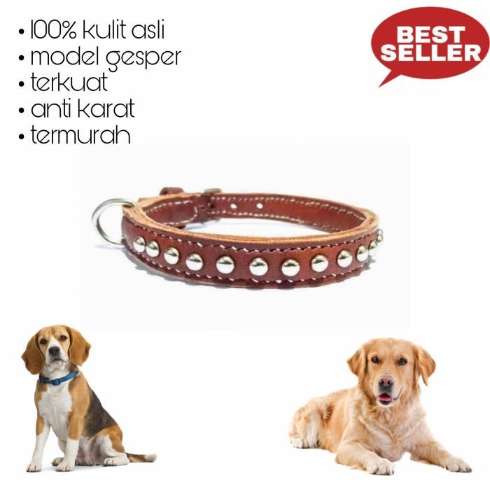 Kalung Anjing Kulit Asli