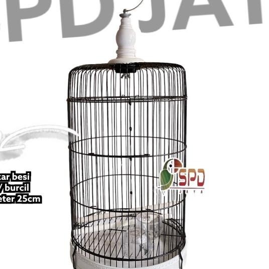 Sangkar Kandang Burung Pleci Merk F1 / My Best Diameter 20Cm