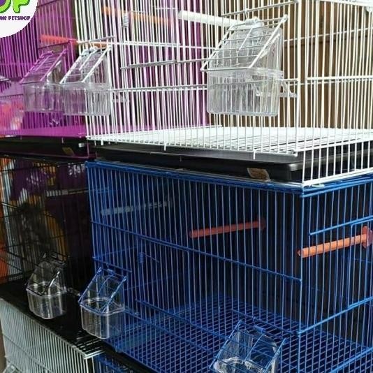 Kandang Burung Octagon Warna