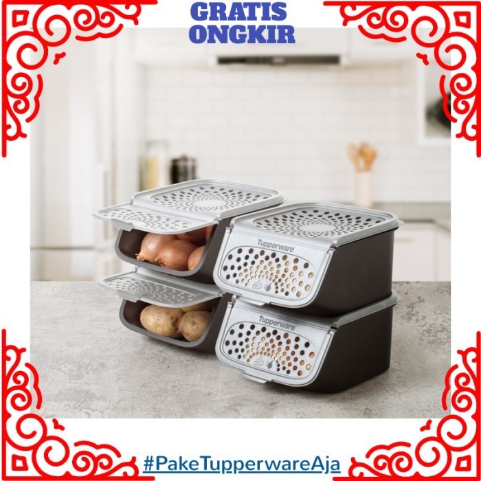 Tempat Bawang Bumbu Tupperware - Toples Bawang Merah Bombay (1Pc)
