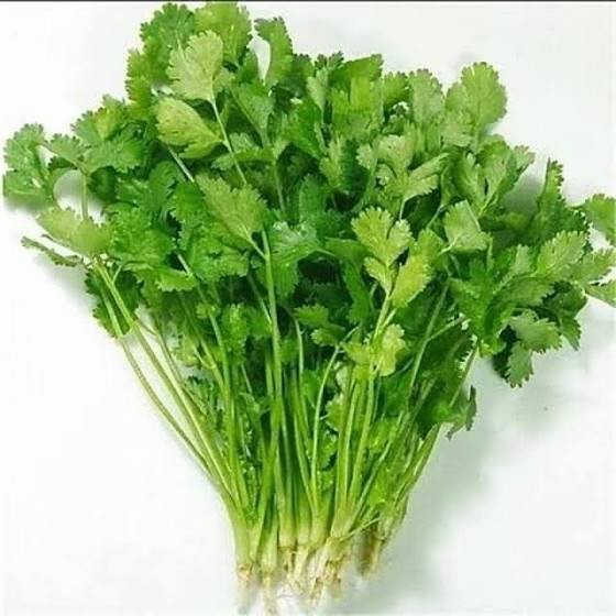 

DAUN KETUMBAR 100 GRAM - 1/4 kg