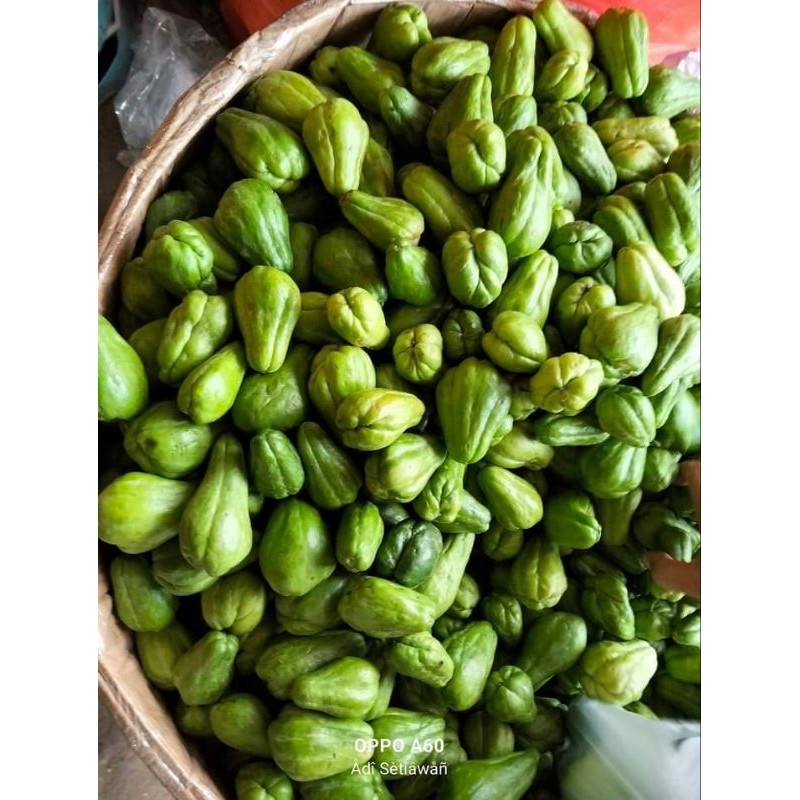 

Labu Kecil & Labu Acar Segar