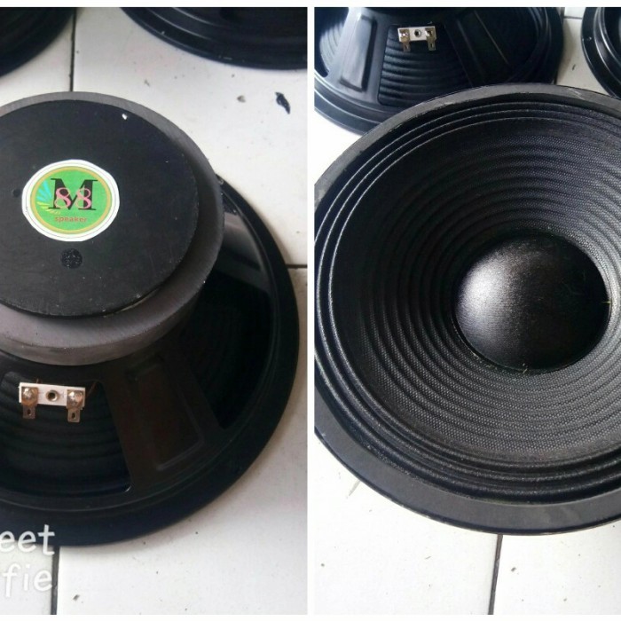 Speaker 10 Inci Midle M88