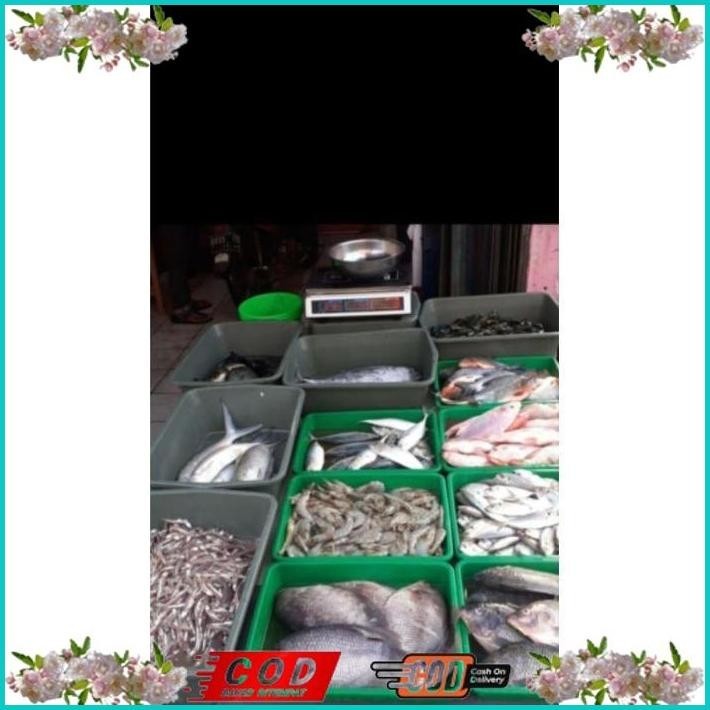 

BISMILLAH IKAN GABUS SEGAR 1KG (BUKAN FROZEN) FREE DIBERSIHKAN GRATIS MINYAK GORENG 1LITER ALISUP