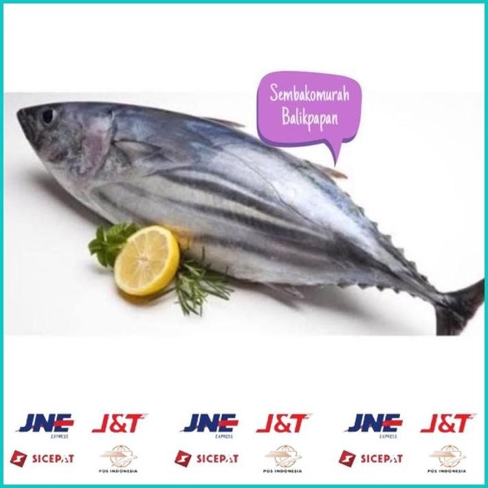 

BISMILLAH IKAN CAKALANG 1KG ALISUP