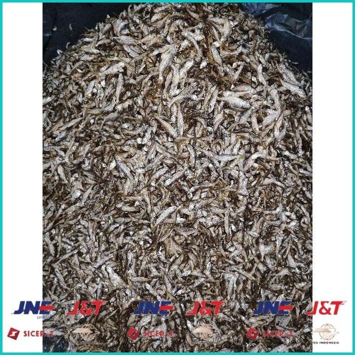 

BISMILLAH IKAN BILIH GORENG ASLI DANAU SINGKARAK ALISUP