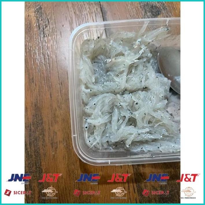 

BISMILLAH IKAN TERI NASI BASAH SEGAR TAWAR / FROZEN / COCOK UNTUK MPASI / TERI BASAH MPASI / IKAN FROZEN ALISUP