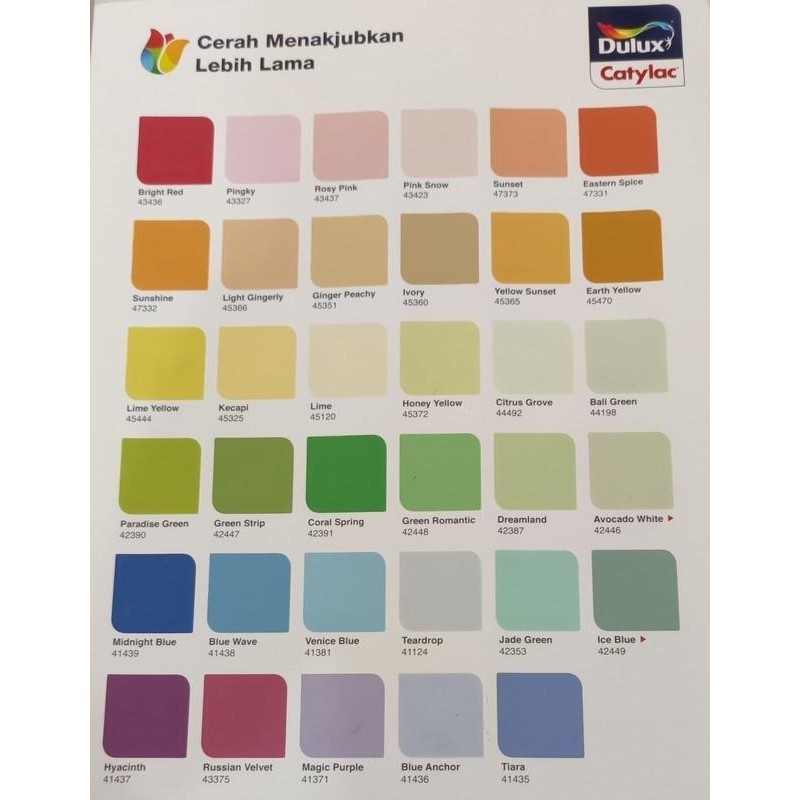 Cat Tembok Dulux Catylac Exterior 25 Kg