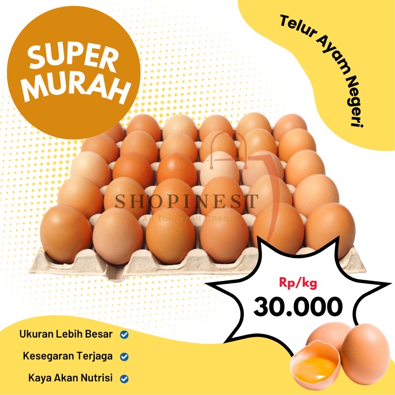 

Telur Ayam Negeri Super Murah