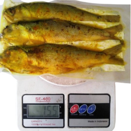 

Ikan Bandeng Presto Frozen isi 3 pcs