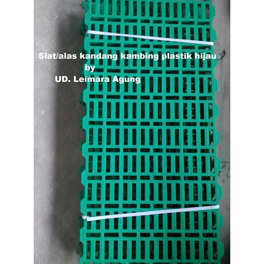 Slat/alas/kandang plastik kambing domba hijau