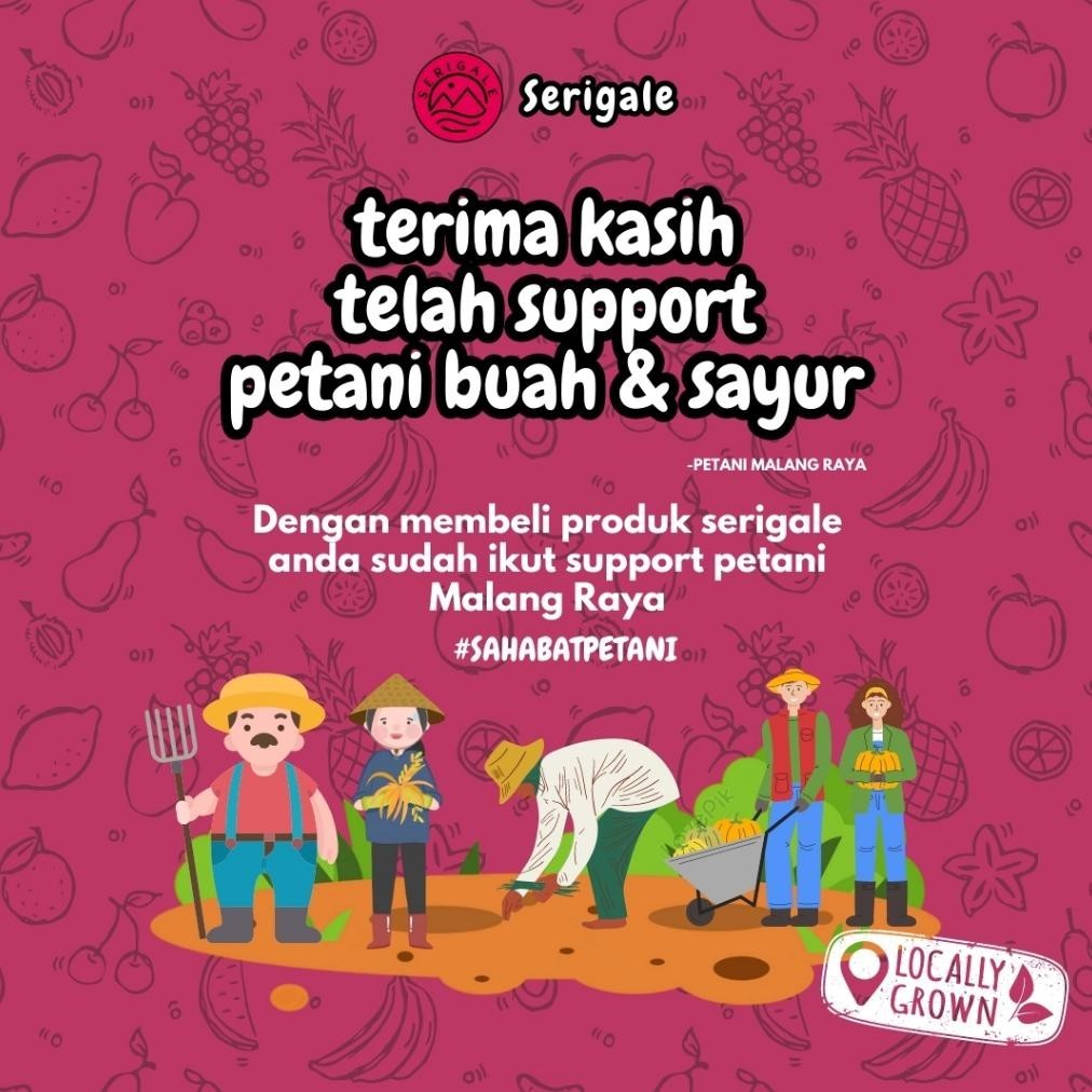 

Ew64 SERIGALE Keripik Buah Legit I 150 gr Pouch Zipplock I Keripik Buah Mix I Nangka Rambak Pisang I Murah