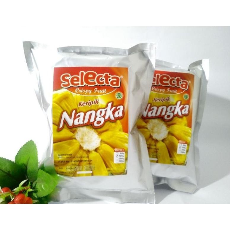 

Ez23 KERIPIK NANGKA SELECTA/Galeri 100gram Oleh Oleh Malang Batu Premium