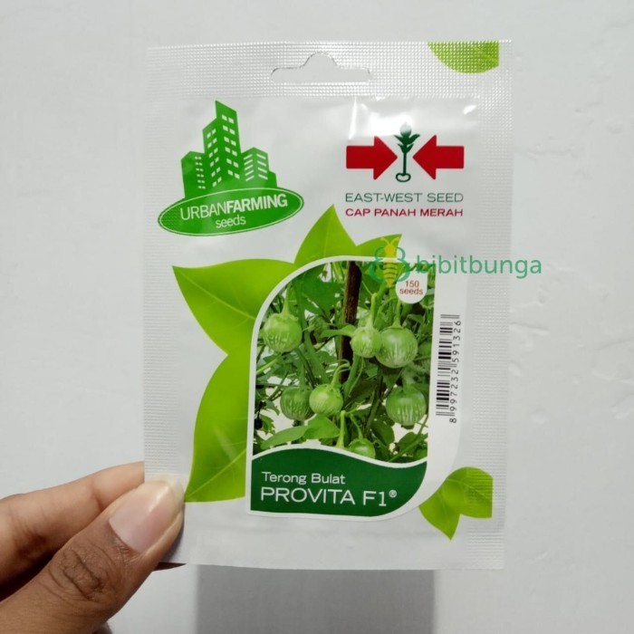 ```````] Benih Bibit Terong Lalap Provita F1 Biji Cap Panah Merah Lalab Bulat