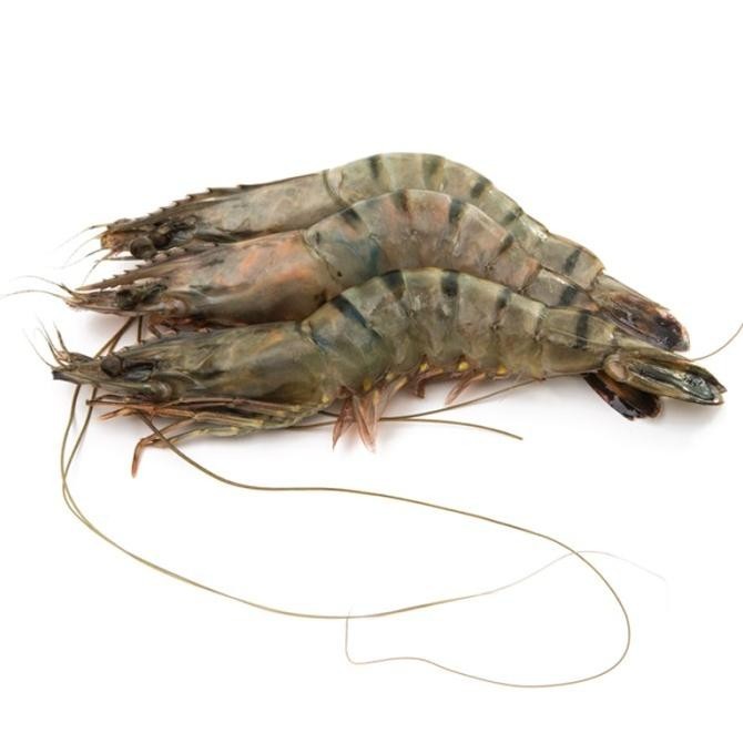 

Udang Vaname FRESH uk.Sedang - 500 gram [GROSIR]