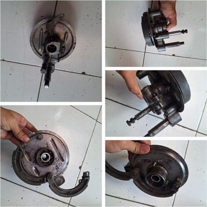 

~^~^~^] Kepala babi PTS original bekas utuh cakep.