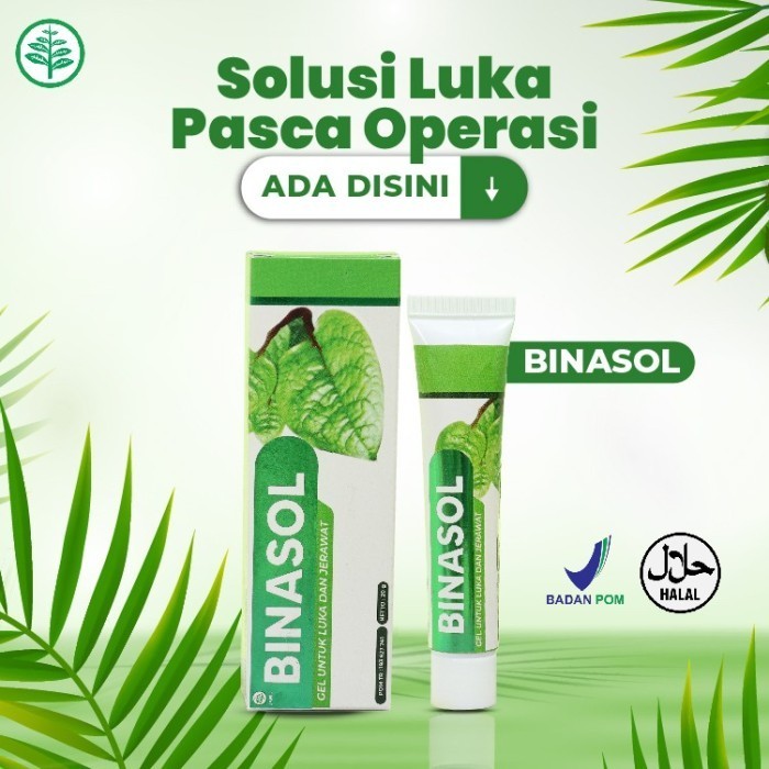 Binasol Gel Herbal Obat Penyembuh Luka Pasca Operasi Binahong Asli