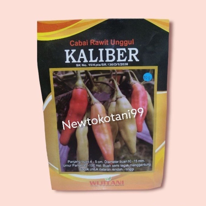 Benih Cabe Kaliber 10 Gram Benih Cabai Unggul Kaliber Dari Wiji Tani