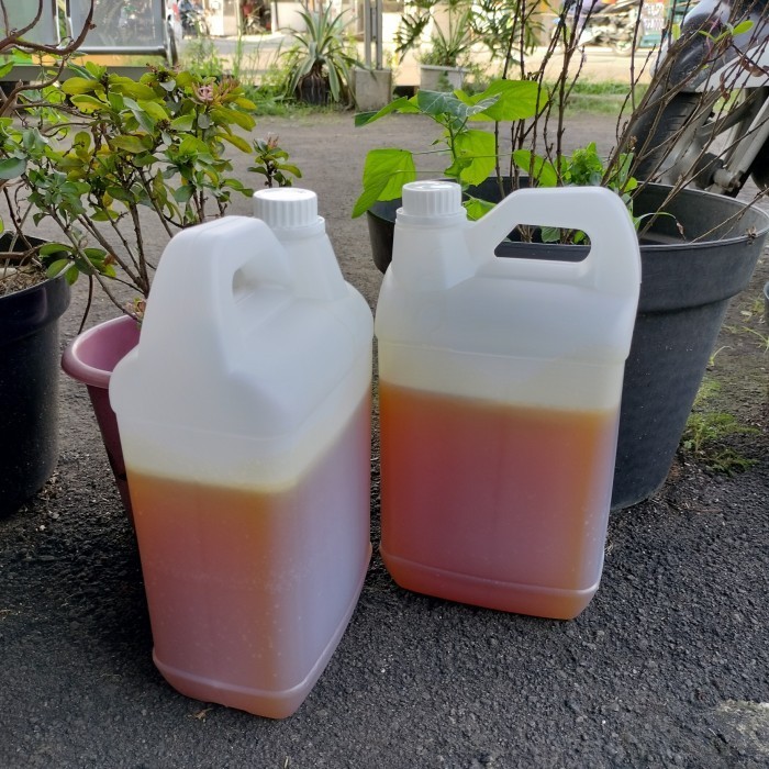 

Madu Curah Multifora 5 kg