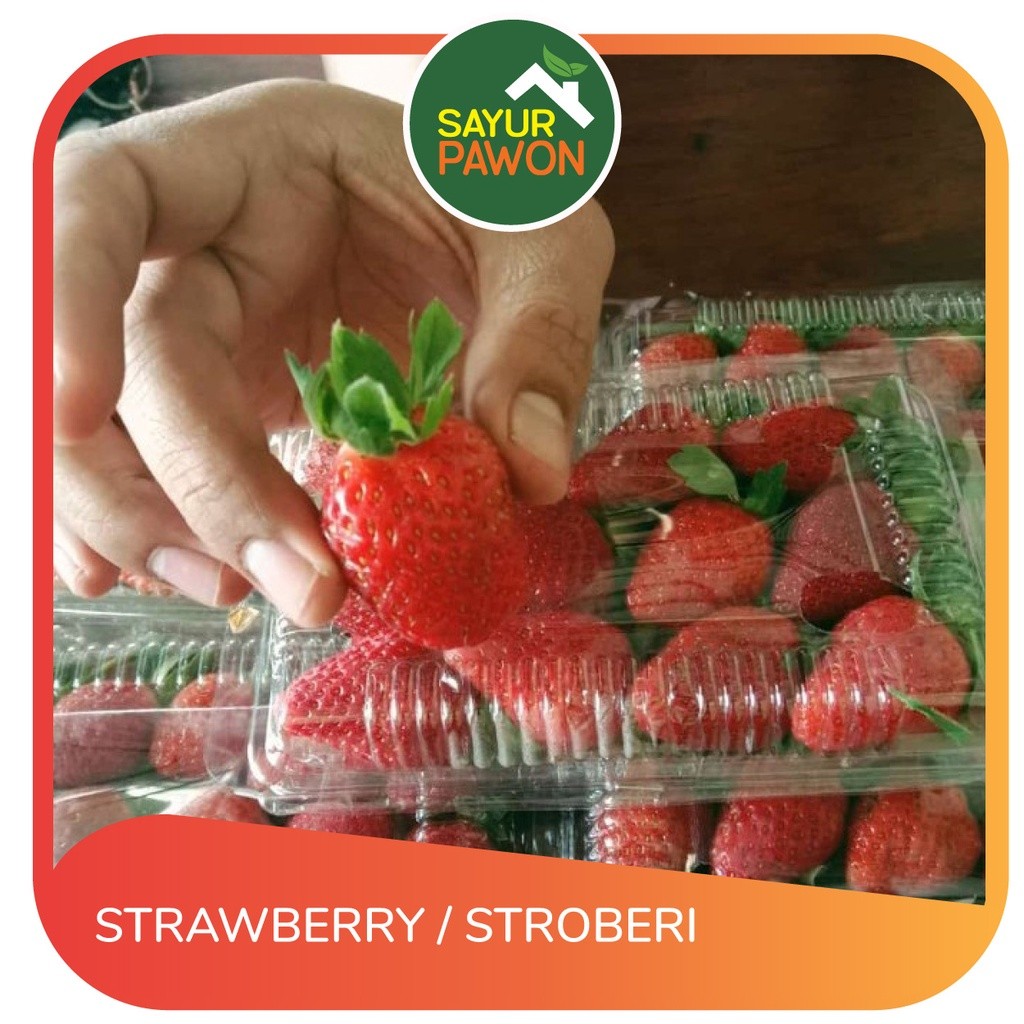 

BUAH STRAWBERRY per bungkus