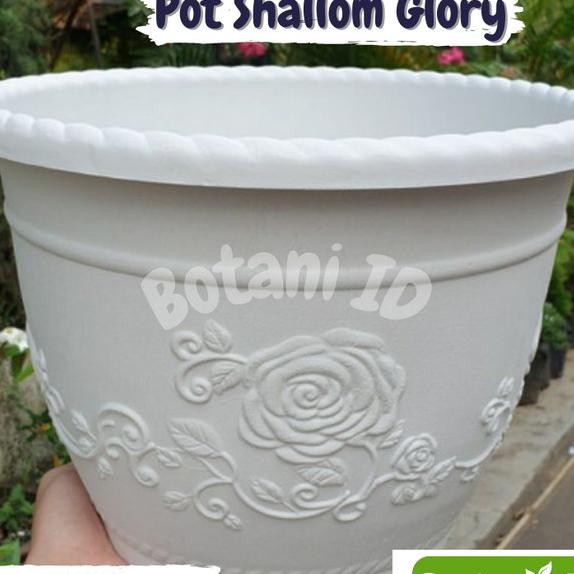 Pot Shallom Glory Tanaman Hias Pot Besar Plastik Bunga Tanaman Hias