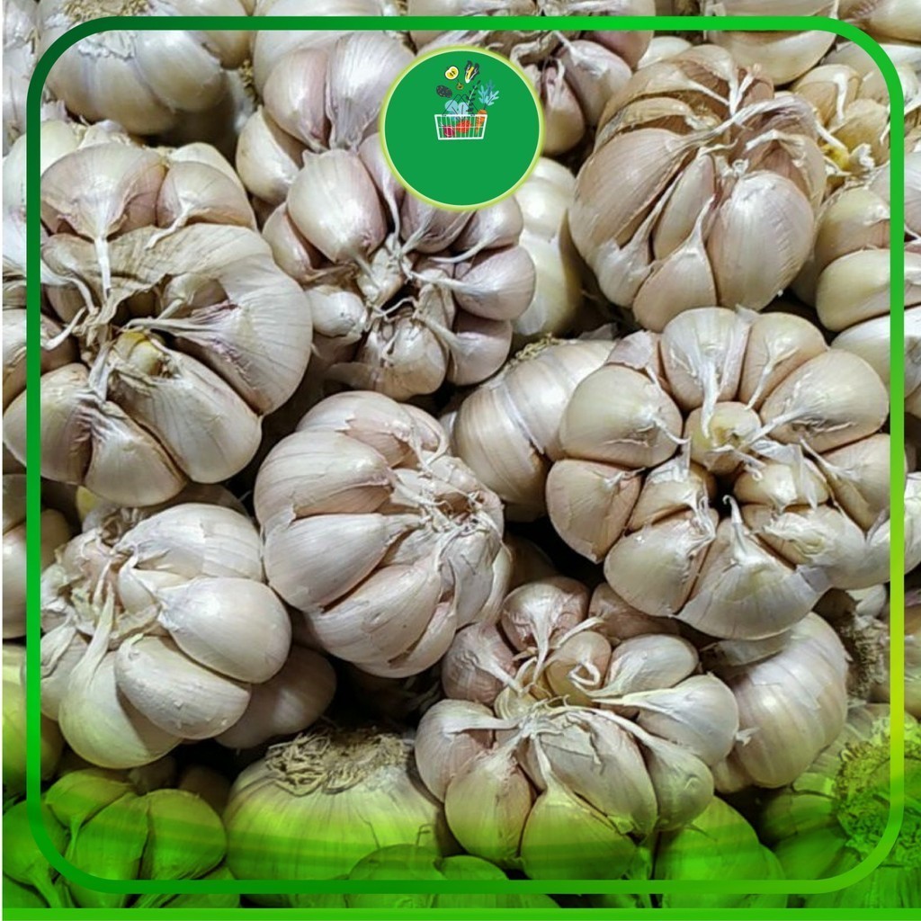 

Bawang Putih Utuh per Kilogram