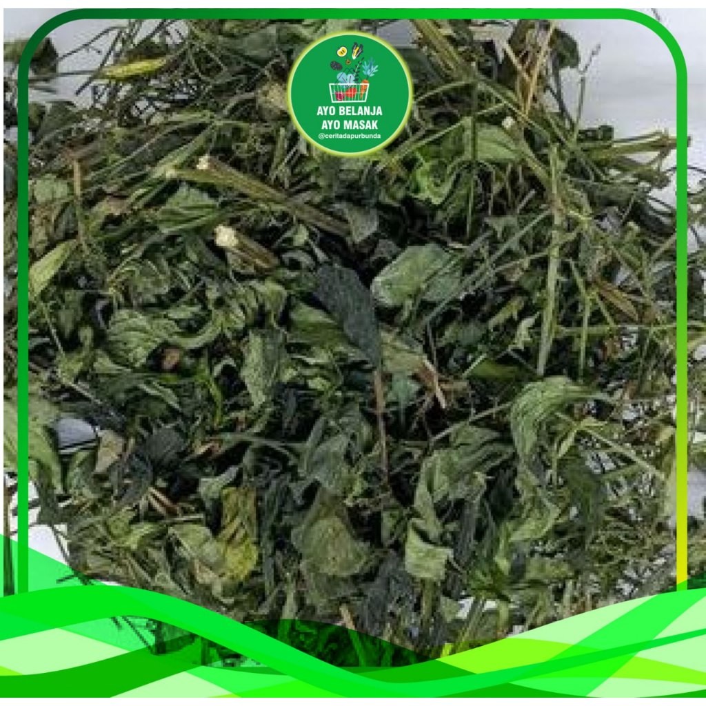 

Daun Sambiloto Kering/pack (produk rempah/kesehatan tradisional)