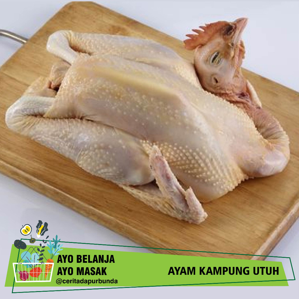 

AYAM KAMPUNG Segar LOKAL per ekor