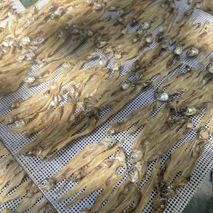 Dehydrated Anchovies Cemilan Anjing Kucing Teri Kering Treats