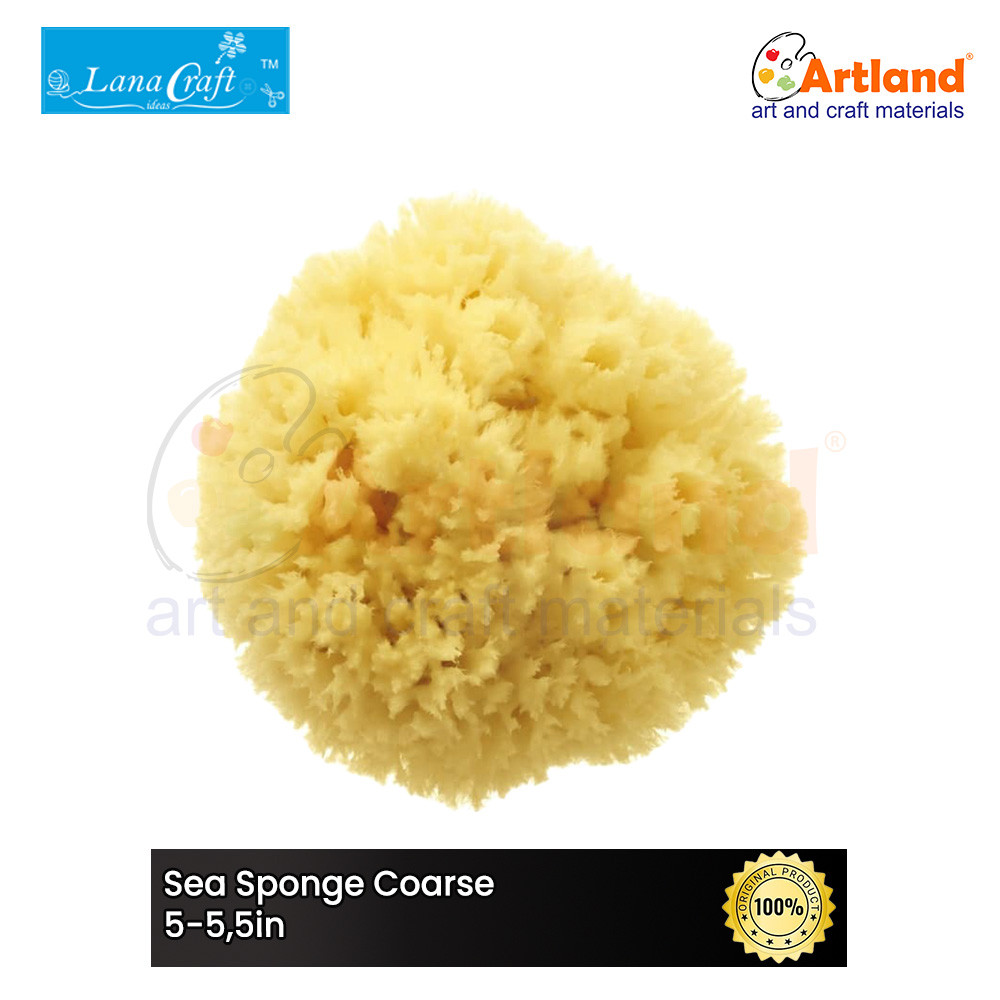 

Sea Sponge Coarse 5-5,5in - Spons Laut Kasar 5-5,5in C555