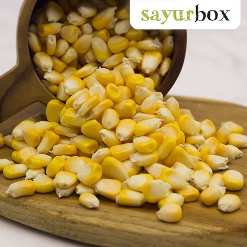 

Jagung Manis Pipil Konvensional 500 gram Sayurbox