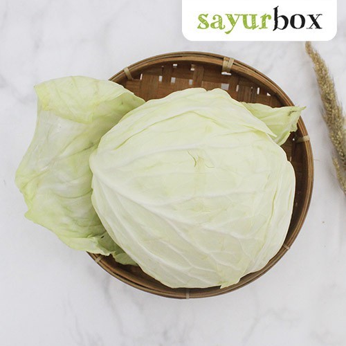 

Kol Putih Organik 1 kg Sayurbox
