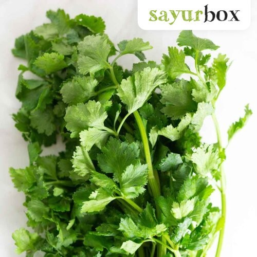 

Daun Seledri Organik 200 gram Sayurbox