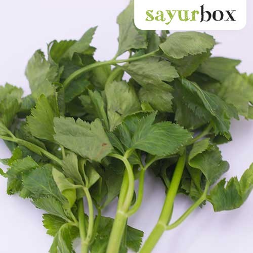 

Daun Seledri Konvensional 100 gram Sayurbox