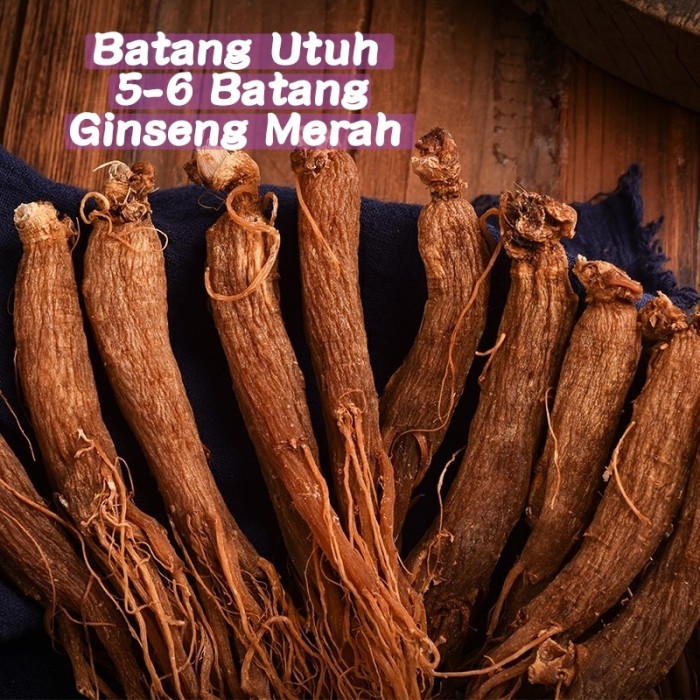 

Ready Akar Ginseng Korea Merah Jilin
