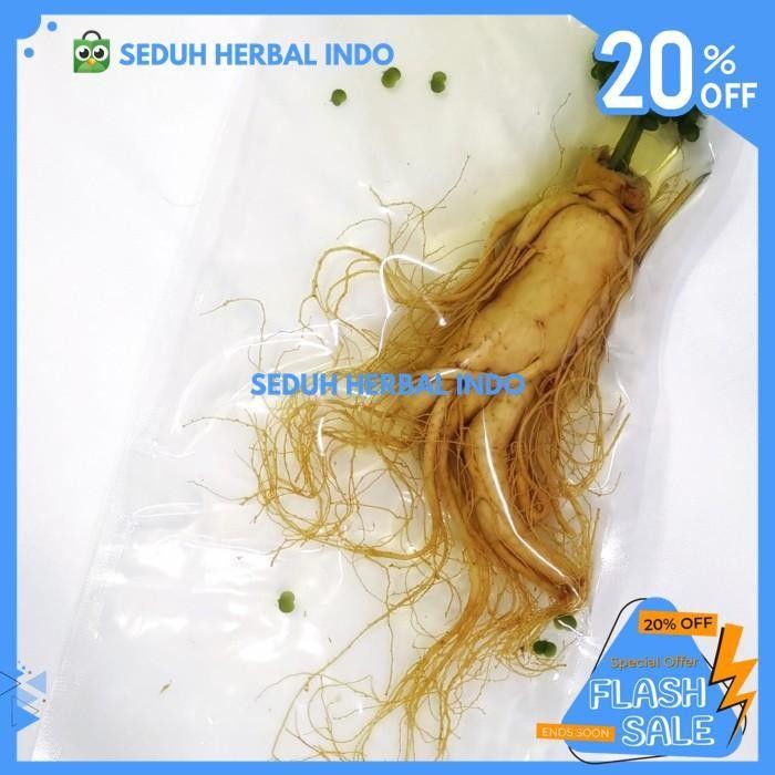 

GINSENG SEGAR BESAR 400 GRAM / FRESH GINSENG ROOT VACUUM PACK TERJAMIN