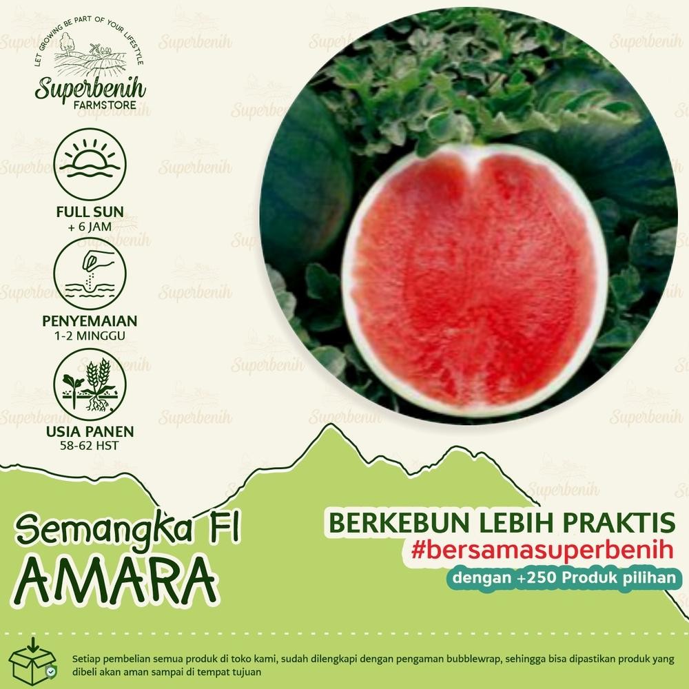 5 biji - Benih semangka AMARA F1 non biji (seedless)
