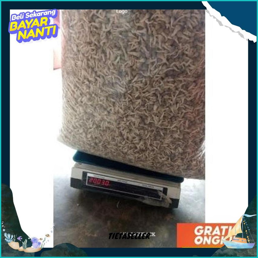 

Mpot Putih Dan Hitam Harga Grosir Dan Kiloan Kilat