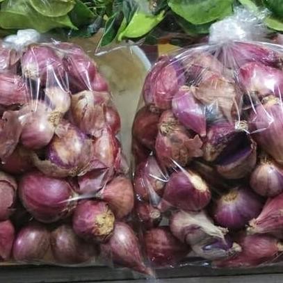 

JH8 Bawang Merah Brebes