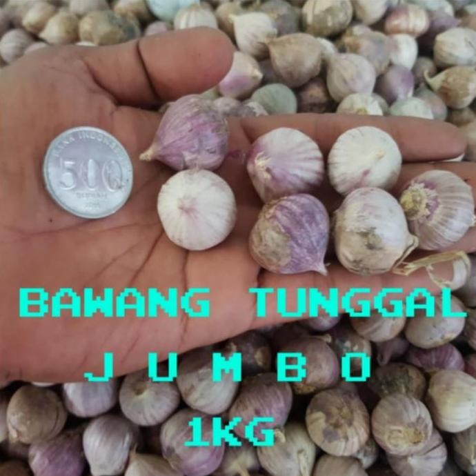 

JH8 bawang putih tunggal-bawang lanang herbal 1kg