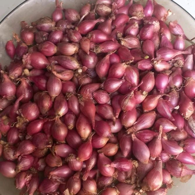 

JH8 Bawang Merah Kecil Mini 1 kg Bumbu Rempah Jahe Spices Wangi Tahan Lama Fresh Enak Kering Bersih untuk Masakan Pedas Bahan