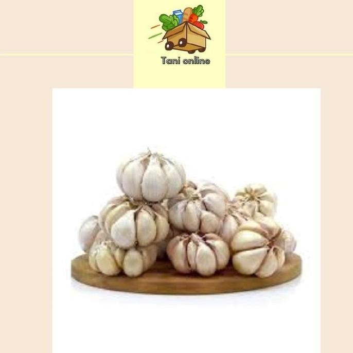 

JH8 bawang putih honan bersih super fresh 1 kg