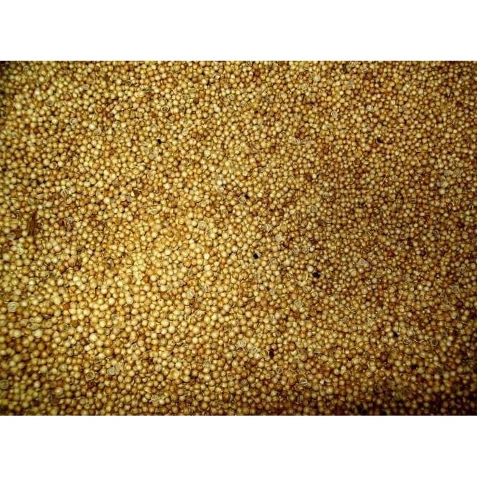 

JH8 Ketumbar butir 1 kilogram