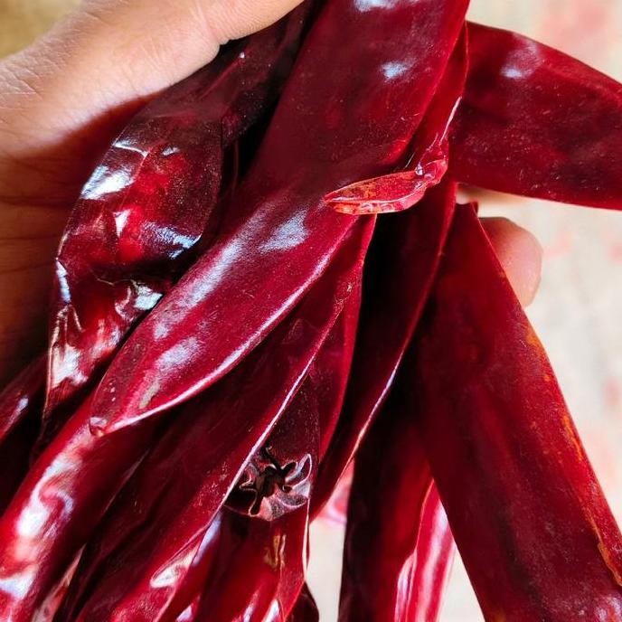 

JH8 1kg Cabe Merah Besar Kualitas Super Premium /Tidak Pedas, Bumbu Merah Rempah Cabai