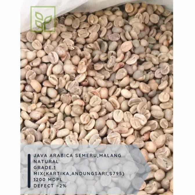 

(Expert) Greenbean Arabica Semeru Natural Gr.1