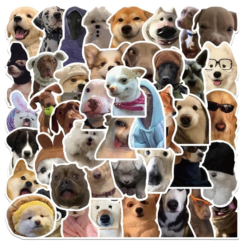 

50Pcs Kawaii Cat Dog Funny Animal Meme Stickers Cute Decals Decoration Diy Skateboard Scrapbook Laptop Fridge Car Kids Toy