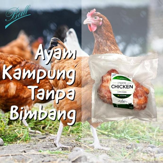

JH8 Ayam Kampung Organik Ball