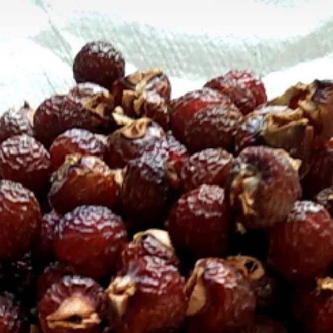 

JH8 Biji Lerak Kupas Tanpa Biji 1 kg Buah Unggul Organik Tanpa Kimia Pure
